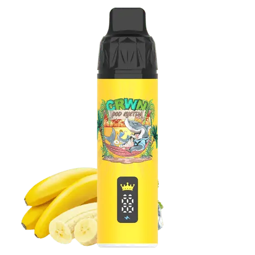CRWN 9000 Puffs Starter Kit Vape At Door