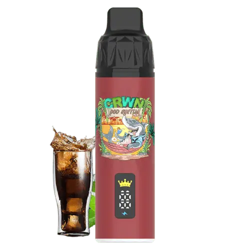 CRWN 9000 Puffs Starter Kit Vape At Door