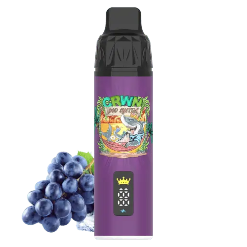 CRWN 9000 Puffs Starter Kit Vape At Door