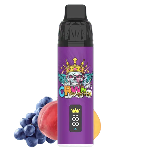 CRWN 9000 Puffs Starter Kit Vape At Door