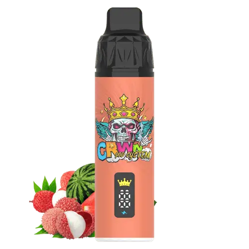 CRWN 9000 Puffs Starter Kit Vape At Door