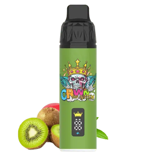 CRWN 9000 Puffs Starter Kit Vape At Door