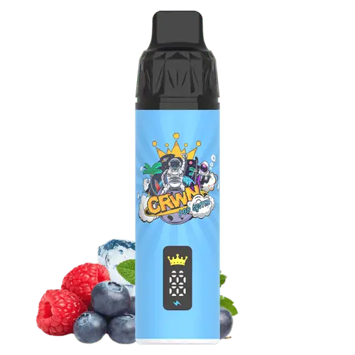 CRWN 9000 Puffs Starter Kit Vape At Door