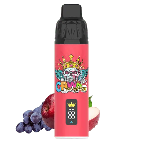 CRWN 9000 Puffs Starter Kit Vape At Door