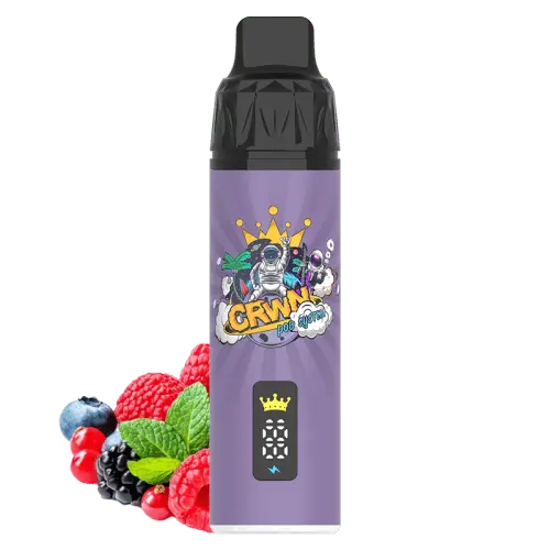 CRWN 9000 Puffs Starter Kit Vape At Door