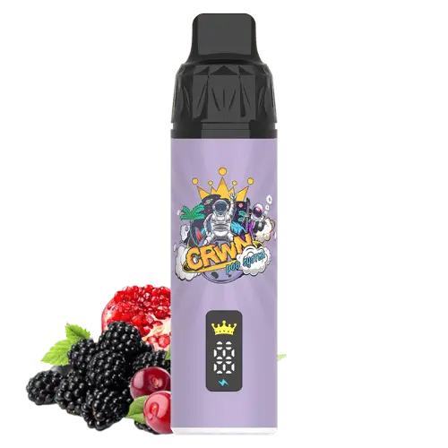 CRWN 9000 Puffs Starter Kit Vape At Door