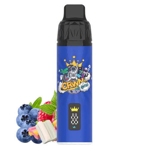 CRWN 9000 Puffs Starter Kit Vape At Door