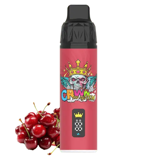 CRWN 9000 Puffs Starter Kit Vape At Door