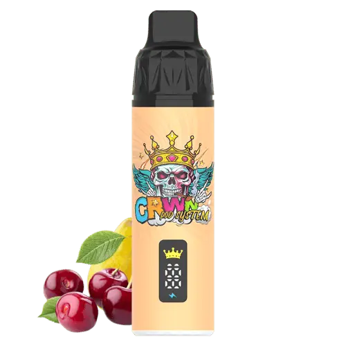CRWN 9000 Puffs Starter Kit Vape At Door