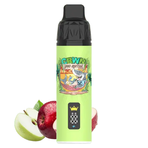 CRWN 9000 Puffs Starter Kit Vape At Door