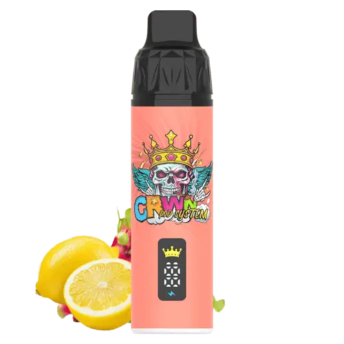 CRWN 9000 Puffs Starter Kit Vape At Door