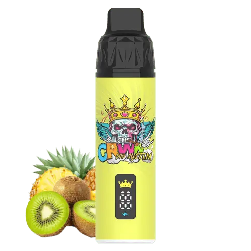 CRWN 9000 Puffs Starter Kit Vape At Door