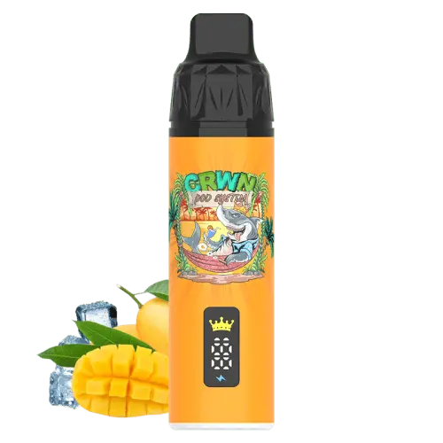 CRWN 9000 Puffs Starter Kit Vape At Door