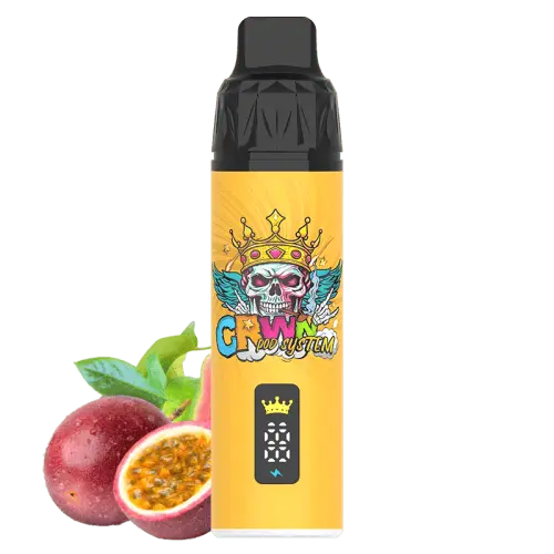 CRWN 9000 Puffs Starter Kit Vape At Door