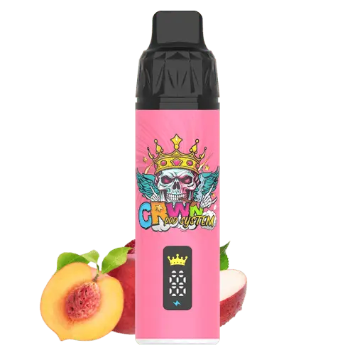 CRWN 9000 Puffs Starter Kit Vape At Door