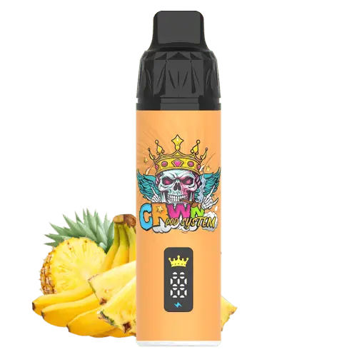 CRWN 9000 Puffs Starter Kit Vape At Door