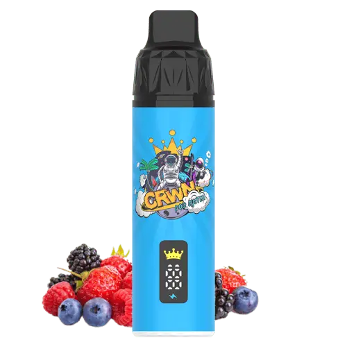 CRWN 9000 Puffs Starter Kit Vape At Door