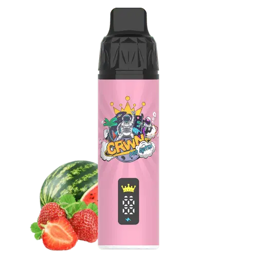 CRWN 9000 Puffs Starter Kit Vape At Door
