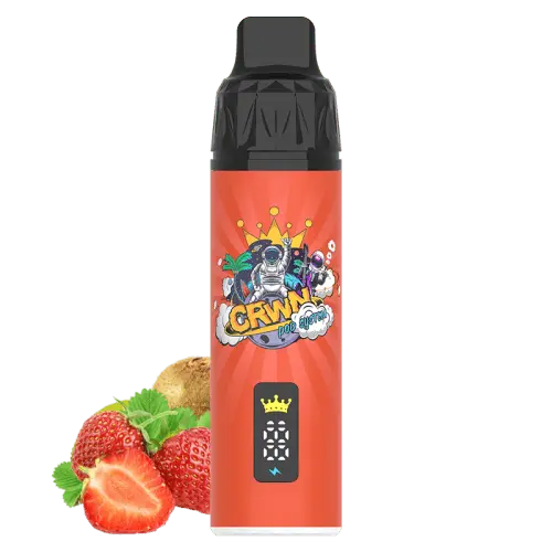 CRWN 9000 Puffs Starter Kit Vape At Door