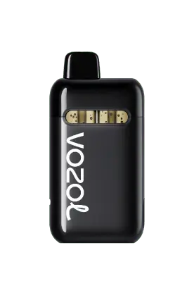 Vozol Neon Plug Max 36K Puffs Prefilled Pod Kit Vape At Door