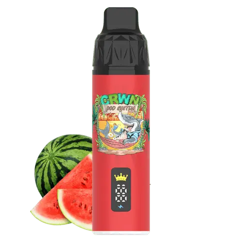 CRWN 9000 Puffs Starter Kit Vape At Door