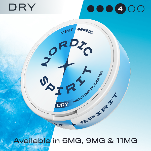 Nordic Spirit mint nicotine pouches container with blue and white design on a blue gradient background.