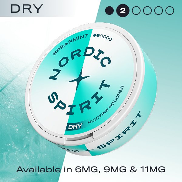 Nordic Spirit nicotine pouches container with spearmint flavor on a light blue background